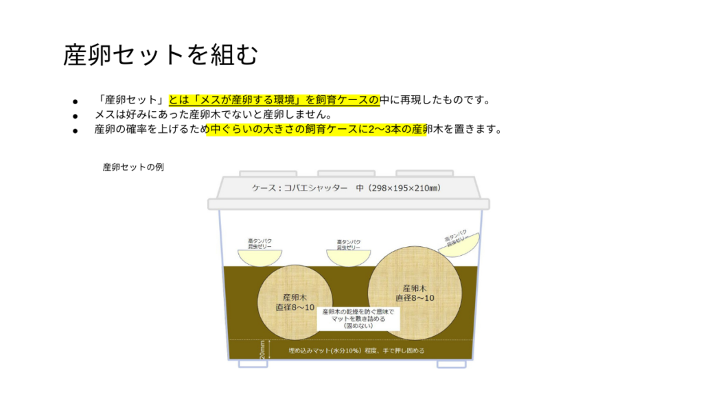産卵セットの組み方